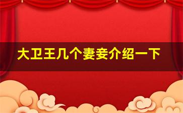 大卫王几个妻妾介绍一下