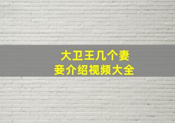 大卫王几个妻妾介绍视频大全