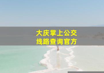 大庆掌上公交线路查询官方