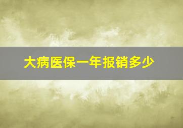 大病医保一年报销多少