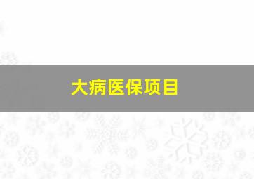 大病医保项目