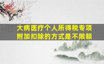 大病医疗个人所得税专项附加扣除的方式是不限额