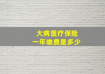 大病医疗保险一年缴费是多少