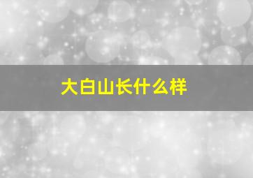 大白山长什么样