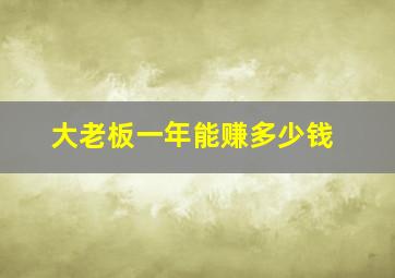 大老板一年能赚多少钱