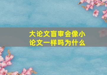 大论文盲审会像小论文一样吗为什么