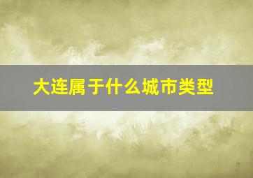 大连属于什么城市类型