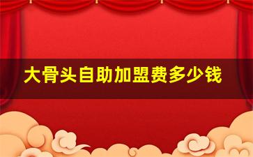 大骨头自助加盟费多少钱