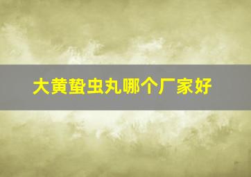 大黄蛰虫丸哪个厂家好