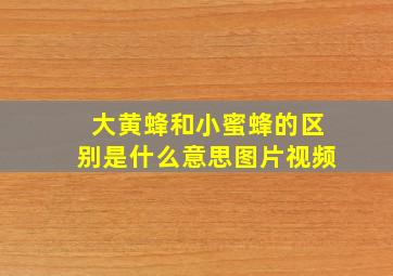 大黄蜂和小蜜蜂的区别是什么意思图片视频