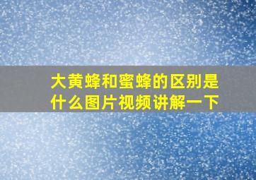 大黄蜂和蜜蜂的区别是什么图片视频讲解一下