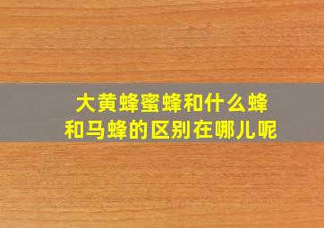 大黄蜂蜜蜂和什么蜂和马蜂的区别在哪儿呢