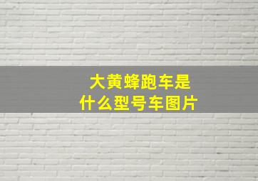 大黄蜂跑车是什么型号车图片