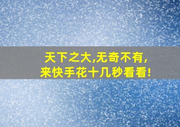 天下之大,无奇不有,来快手花十几秒看看!