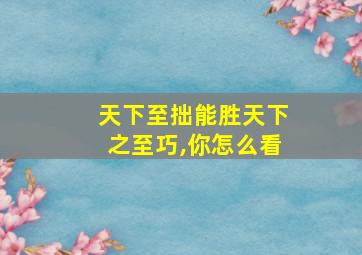 天下至拙能胜天下之至巧,你怎么看