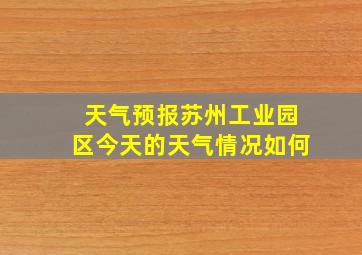 天气预报苏州工业园区今天的天气情况如何