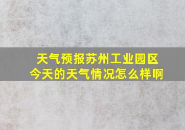 天气预报苏州工业园区今天的天气情况怎么样啊