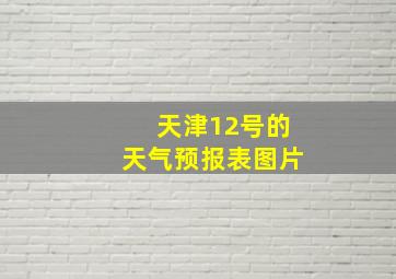 天津12号的天气预报表图片