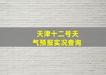 天津十二号天气预报实况查询