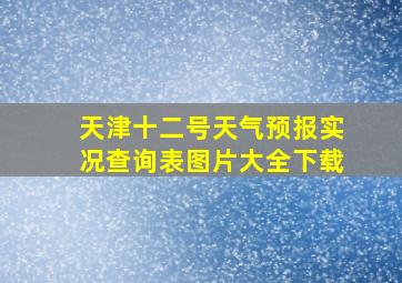 天津十二号天气预报实况查询表图片大全下载