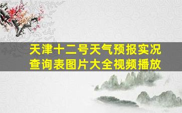 天津十二号天气预报实况查询表图片大全视频播放