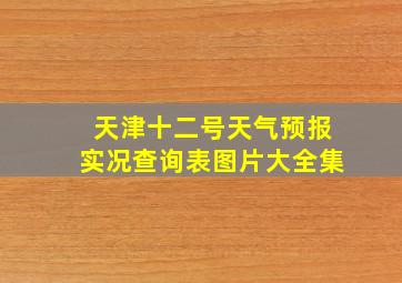 天津十二号天气预报实况查询表图片大全集