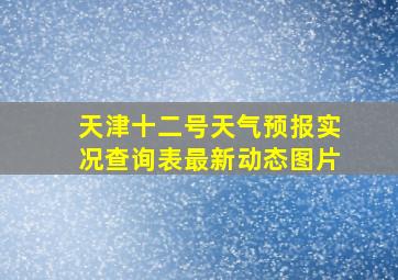 天津十二号天气预报实况查询表最新动态图片