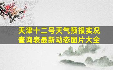 天津十二号天气预报实况查询表最新动态图片大全