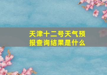 天津十二号天气预报查询结果是什么