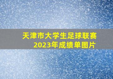 天津市大学生足球联赛2023年成绩单图片