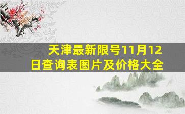 天津最新限号11月12日查询表图片及价格大全