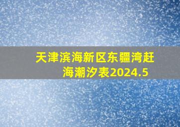 天津滨海新区东疆湾赶海潮汐表2024.5