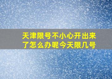 天津限号不小心开出来了怎么办呢今天限几号