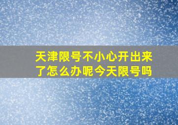 天津限号不小心开出来了怎么办呢今天限号吗