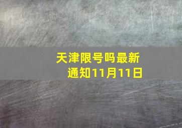 天津限号吗最新通知11月11日