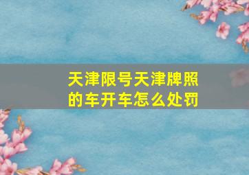 天津限号天津牌照的车开车怎么处罚