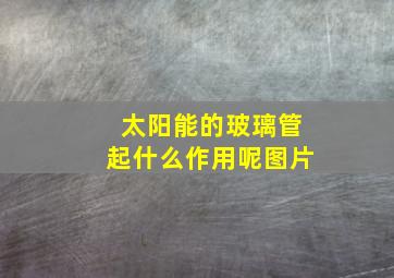 太阳能的玻璃管起什么作用呢图片