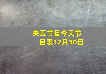 央五节目今天节目表12月30日