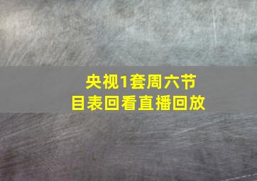 央视1套周六节目表回看直播回放