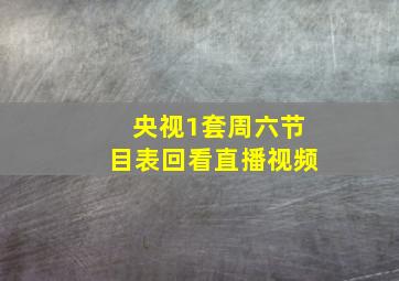 央视1套周六节目表回看直播视频