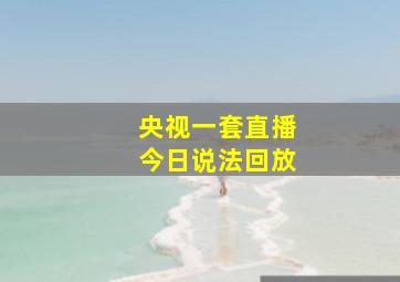 央视一套直播今日说法回放