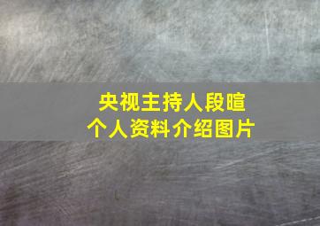 央视主持人段暄个人资料介绍图片