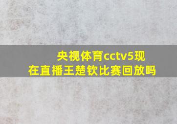 央视体育cctv5现在直播王楚钦比赛回放吗