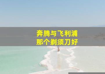 奔腾与飞利浦那个剃须刀好