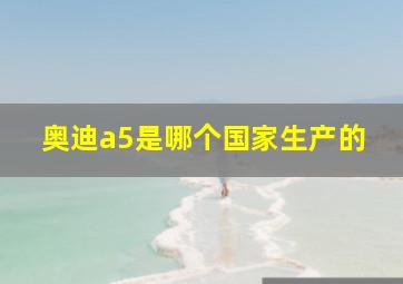 奥迪a5是哪个国家生产的