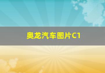 奥龙汽车图片C1