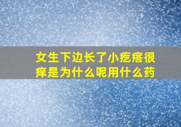 女生下边长了小疙瘩很痒是为什么呢用什么药