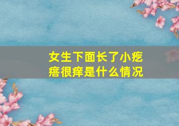 女生下面长了小疙瘩很痒是什么情况