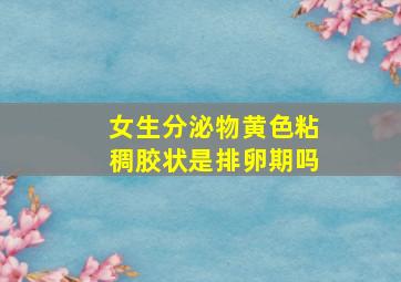 女生分泌物黄色粘稠胶状是排卵期吗