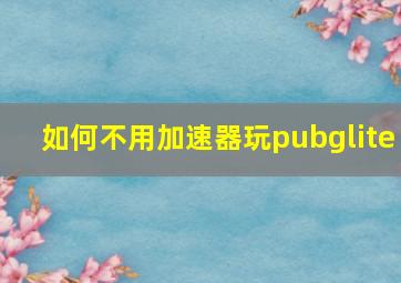 如何不用加速器玩pubglite